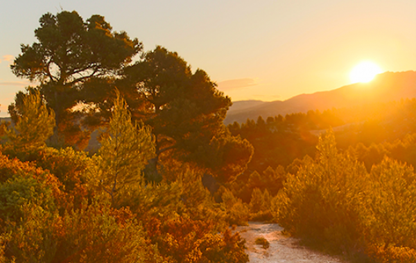 Aix en Provence Hauts de Brunet